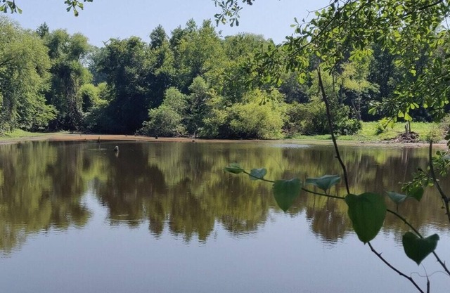 Tentrr Signature Site - Meadow Escape at CATHIS Farm