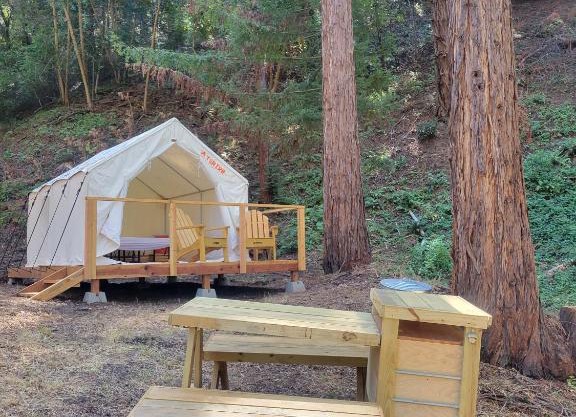 Tentrr Signature Site - Redwood Grove Site B