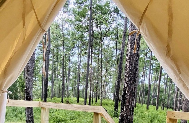 Tentrr State Park Site - Louisiana Bogue Chitto State Park - Gorge Trail N - Sin