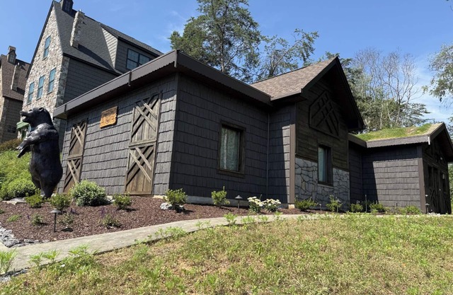 The Ancient Bear’s Den of the Forgotten Forest