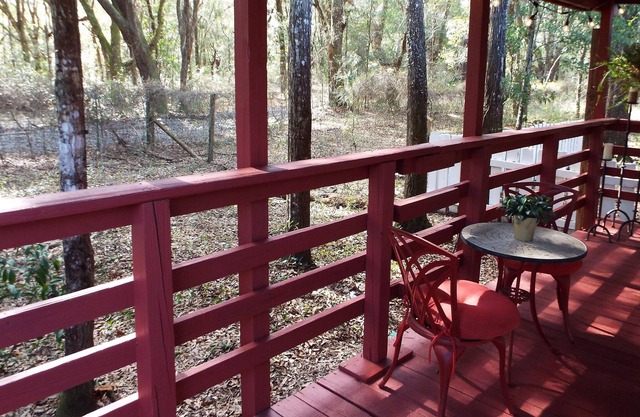 The Back Porch - The Florida Green-way from the comfort of the porch.