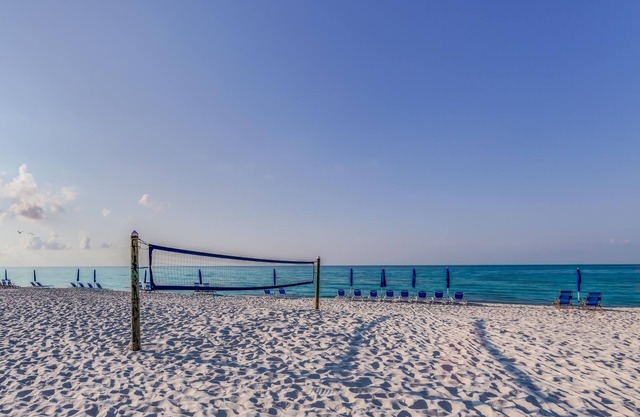 The Best of Both Worlds!