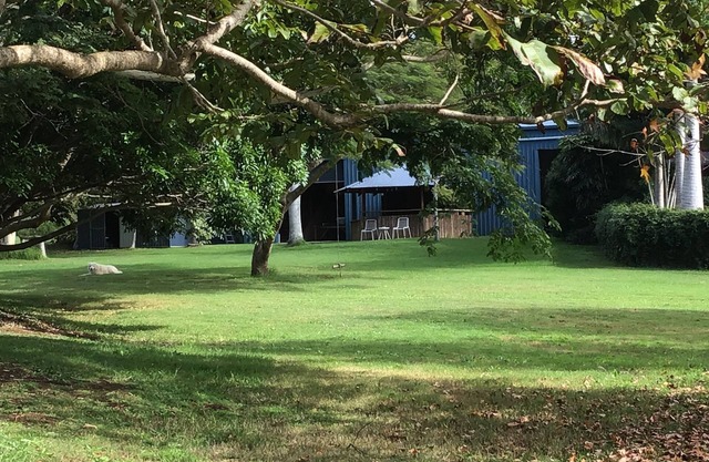 The Big Blue Barn - Spacious, Private and Relaxed.