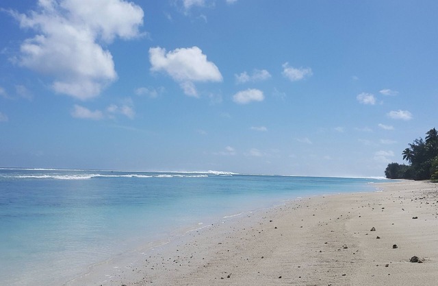 The Black Pearl Beach Side Apartments