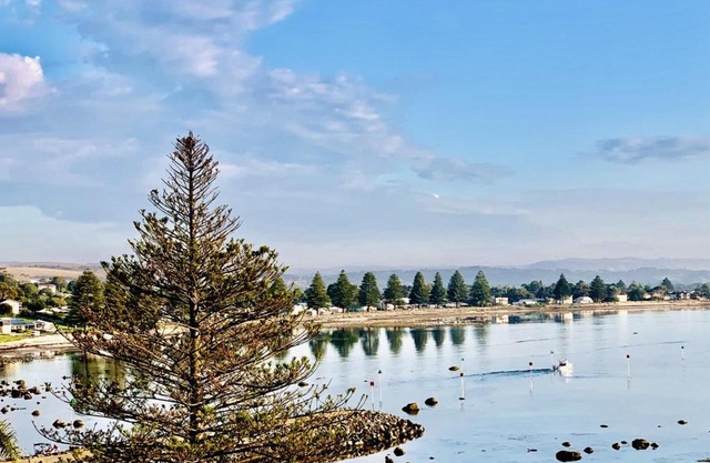 The Bluff Resort Apartments