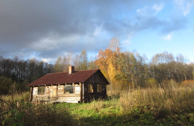 The Bog Cottage of Rehesaare - Experiencing Simple Life in Wilderness