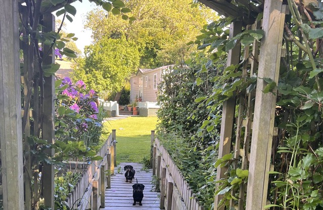 The Cabin at Glan Aber Modern and Cosy 2 Bed Cabin in Rural North Wales