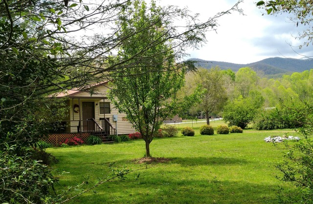 The Cabin at Maggie's Farm on rushing Tucker Creek, trout pond, Blue Ridge Pkwy