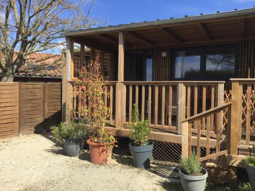 The Cabin