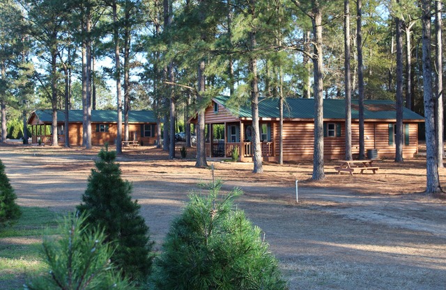 The Cabins At Fish River Christmas Trees - Cabin C