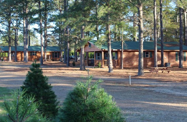The Cabins At Fish River Christmas Tree Farm