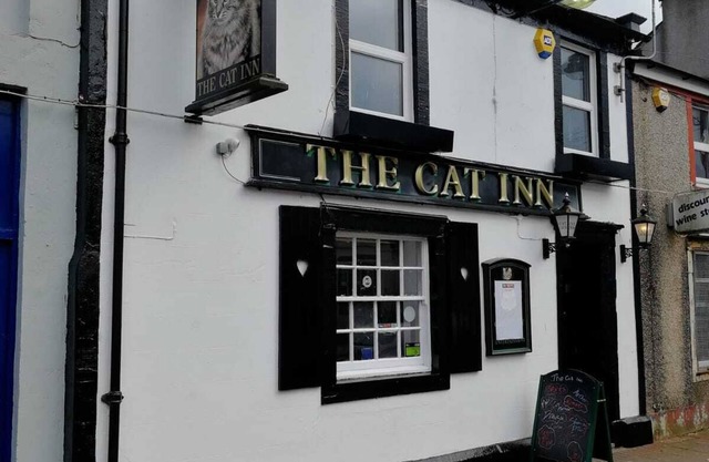 The Cat Inn - Mountain View Apartment