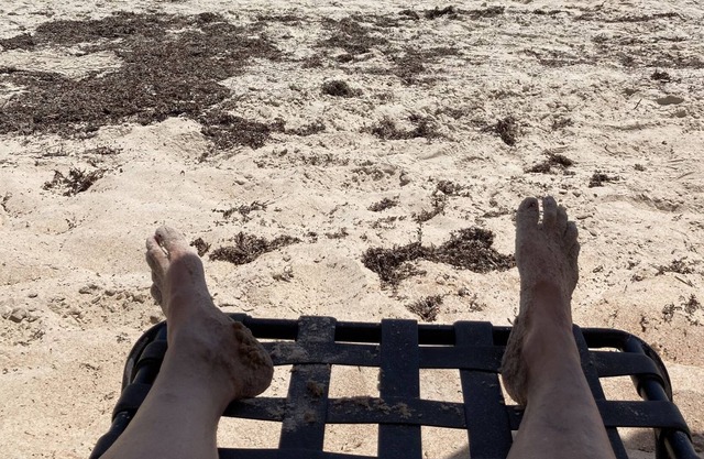 The Cove Ormond Beach-Beachfront