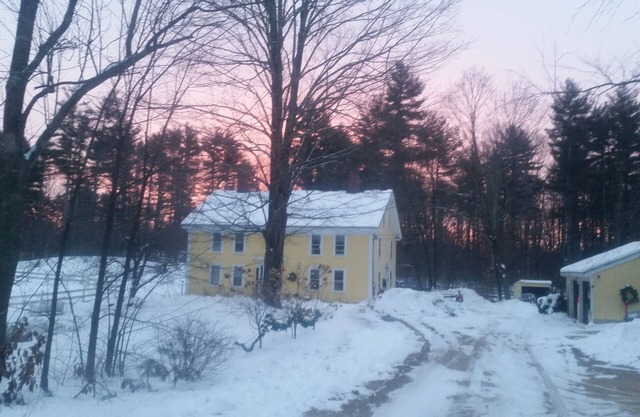 The Daffodil 1743 Getaway Apartment