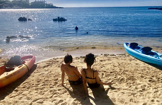 The Dock Resort: Includes boat for snorkeling out at the reef ! NEW LOW PRICE !