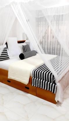 The Dream Resort