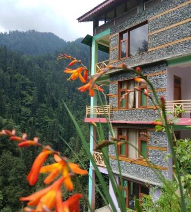 The Forest Pinnacle and Café, Jibhi