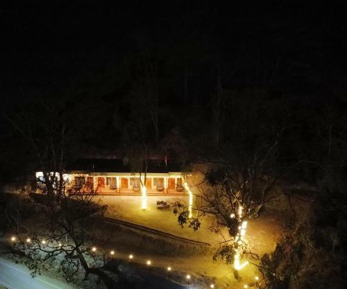 The forest trail by lake & woods