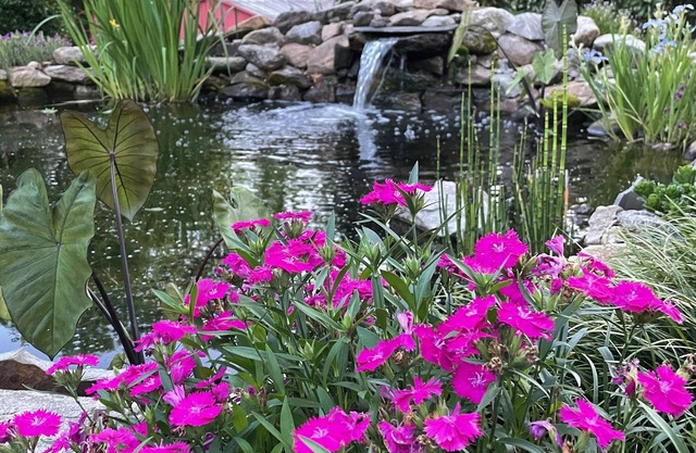 The Gillen House B&B