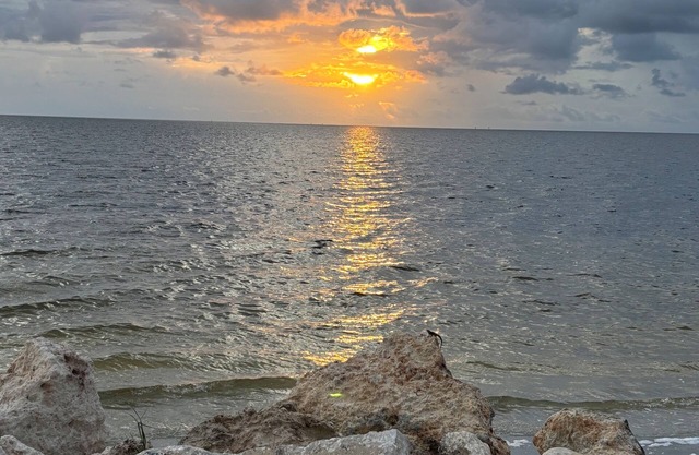 The Golden Pelican – Your Waterfront Escape in Gulf Harbors