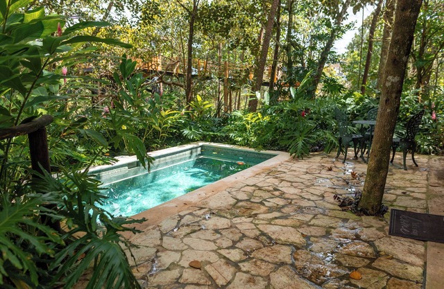 The Grand Forest Jarabacoa