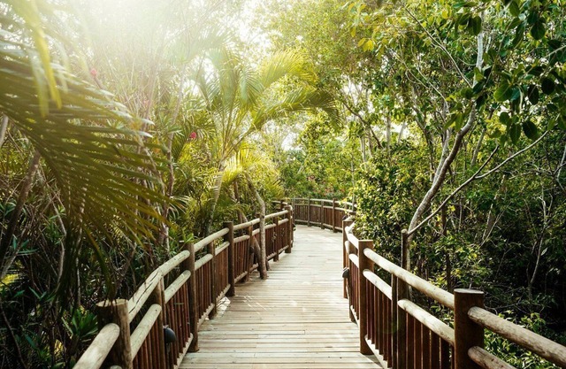 The Grand Mayan at Vidanta Riviera Mayan