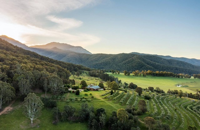 The Grove Estate - The pièce de resistance of this property is the view, be it the 360-degree views of the surrounding bush side, valley and the Region’s famous Mt Buffalo or perhaps the view of the spectacular and famous artwork showcased through th