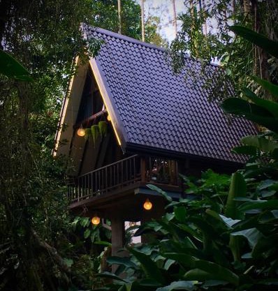 THE JUNGLE CABIN ella