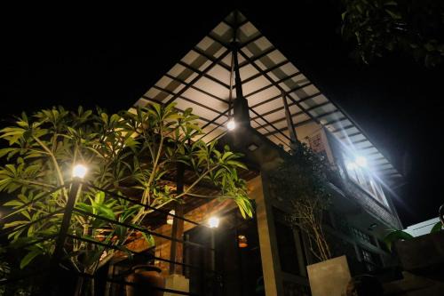 The Lady Cinnamon - Galle