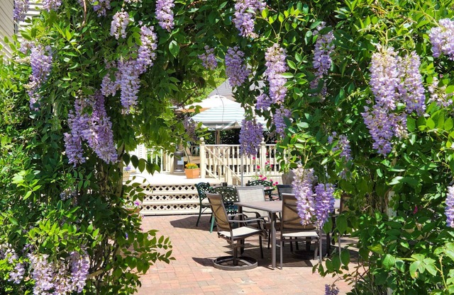 The Lamplighter Bed & Breakfast of Ludington