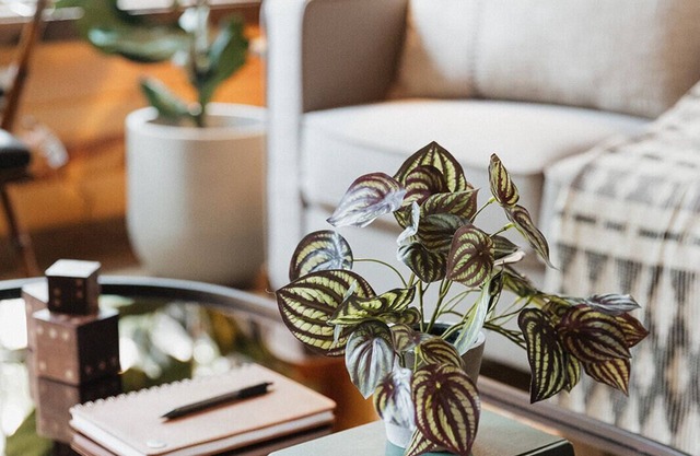 "The Lantern" Woodsy Cabin Experience w/HotTub