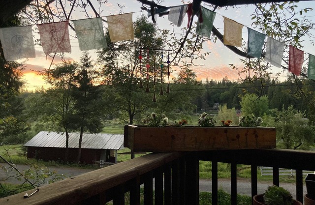 The Lily Pad- Your Home Away From Home