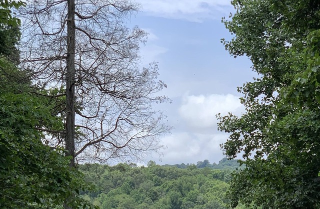 The Little Dipper---- Cottage on Norris Lake-- boat slip and dock