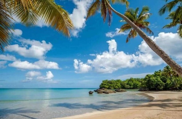 {The~Palms~View} @PlayaBonita +Beachfront+Pool+BBQ