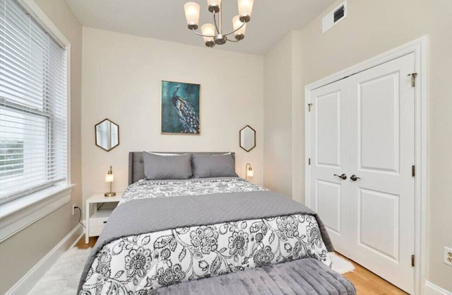 The Peacock Room,1 bd 1 ba, SLU, Grand Center, CWE- Apt E