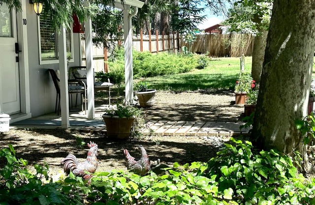 The Pines Inn and Cottages