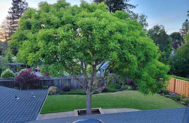 THE PLATFORMS CONDUCT PREVENTS US FROM HOSTING GUESTS - DO NOT BOOK