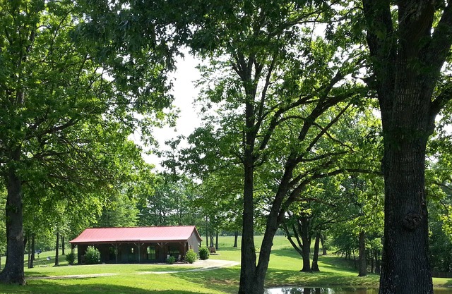 The Ranch House at Sky Hawk Ridge, a 185-Acre Refuge, ONE MILE to Buffalo River
