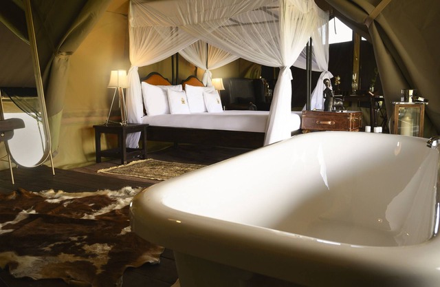 The Royal Migration Camp