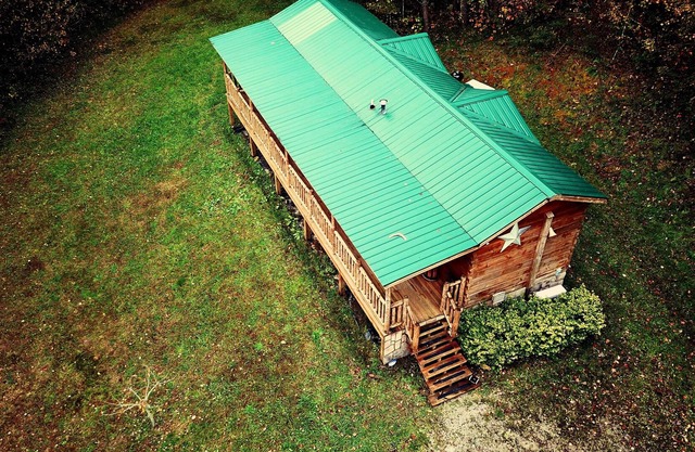 The Seedling - Log Cabin in the Woods