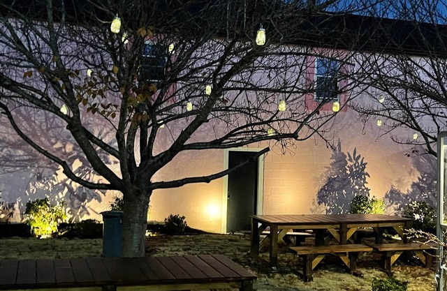 The Silver Eagle - The Cash