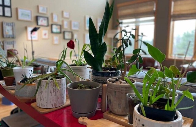 The Summer House - basketball court & large yard