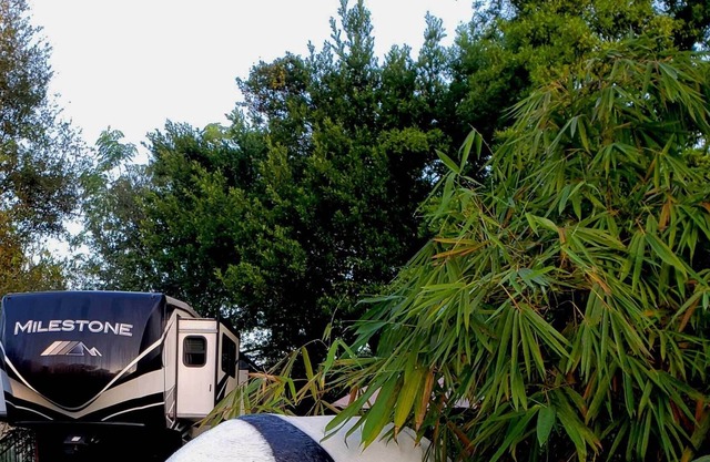 The Sweet Panda, The perfect getaway