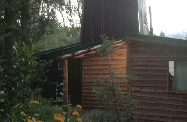 The Tower, from the top of the forest.