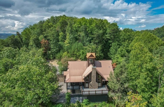 The Vieux - View of Mt. LeConte, firepit, Pickle Ball, fireplace, firepit