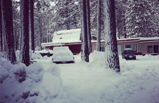 The Washoe 3 bedroom Family unit(pets welcome)