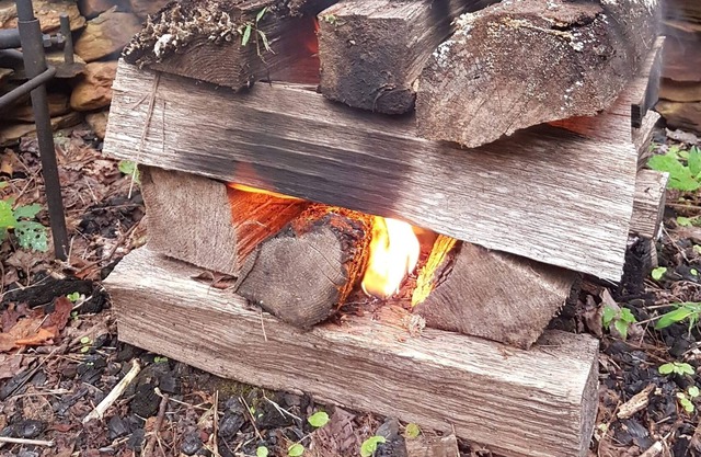 The willow near lake Lure and Chimney Rock