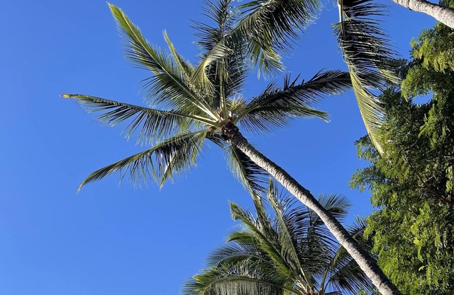 This hideaway is centered right in the middle of Oahu, Hi