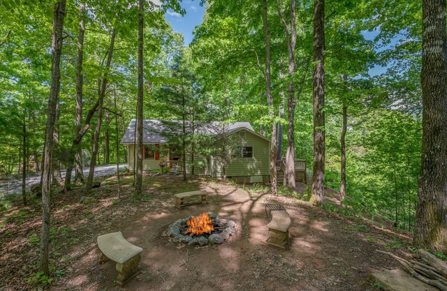Tiger Pause | Escape to a Cozy Cottage Tucked in the Mountains