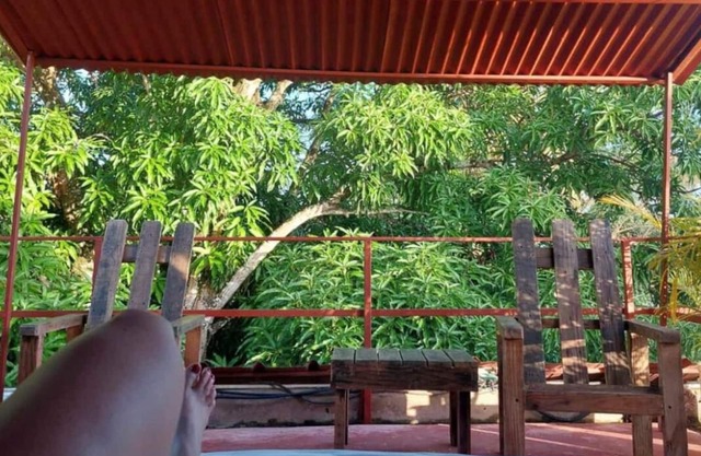 Tiny Coco Paradise - Casita Azul